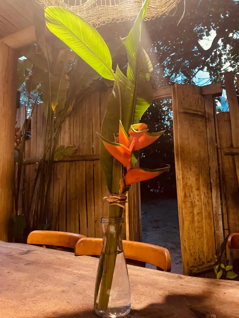 Entrada da casa